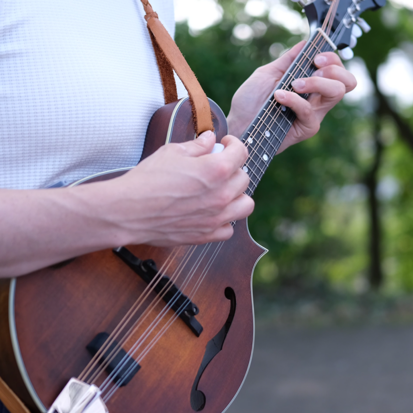 Einzelunterricht Mandoline